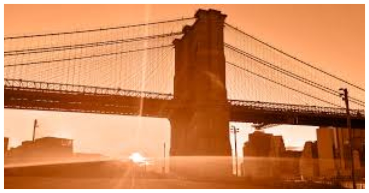 ছবিঃ সংগৃহীত